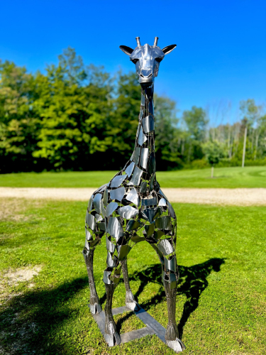 diraffe-editedfull-scaled